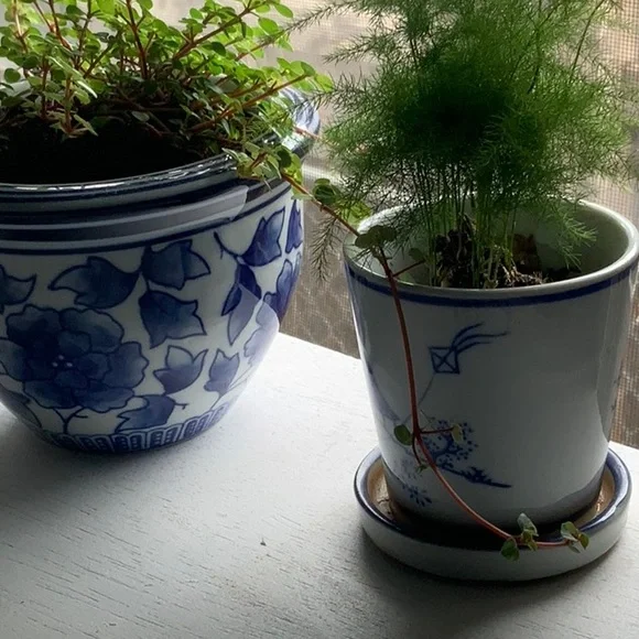 1 NEW NWT NIB LEFT  planter vase diameter 5” height 3.5 no drainage opening - Picture 5 of 9